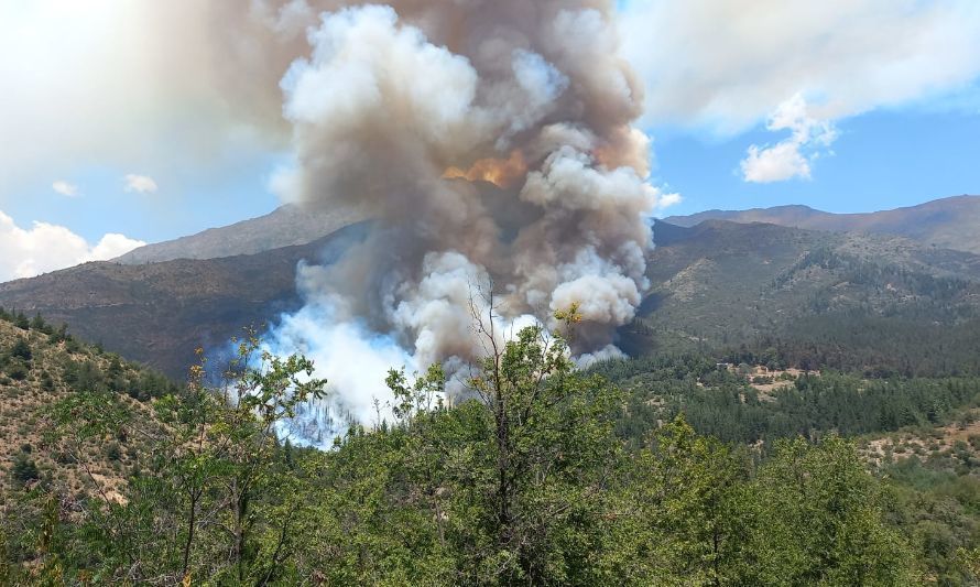 San Fernando sigue en alerta por alto riesgo de incendio forestal