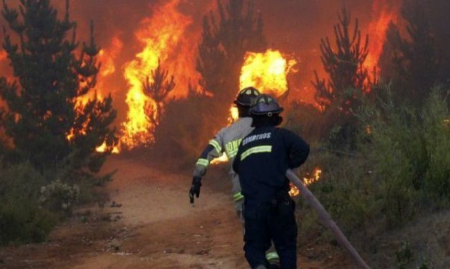 San Fernando y Chimbarongo entre las comunas con alto riesgo de incendio forestal