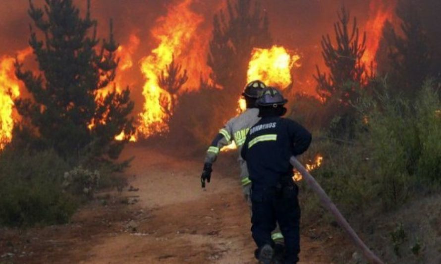 Botón Rojo: San Fernando con alto riesgo de incendio forestal durante este lunes