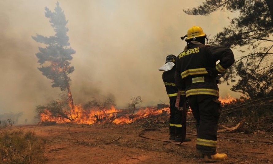 Botón Rojo: San Fernando y Chimbarongo presentan alto riesgo de incendio forestal