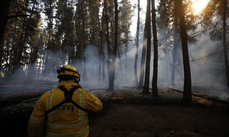 Aumentan comunas en O'Higgins con alto riesgo de incendio forestal