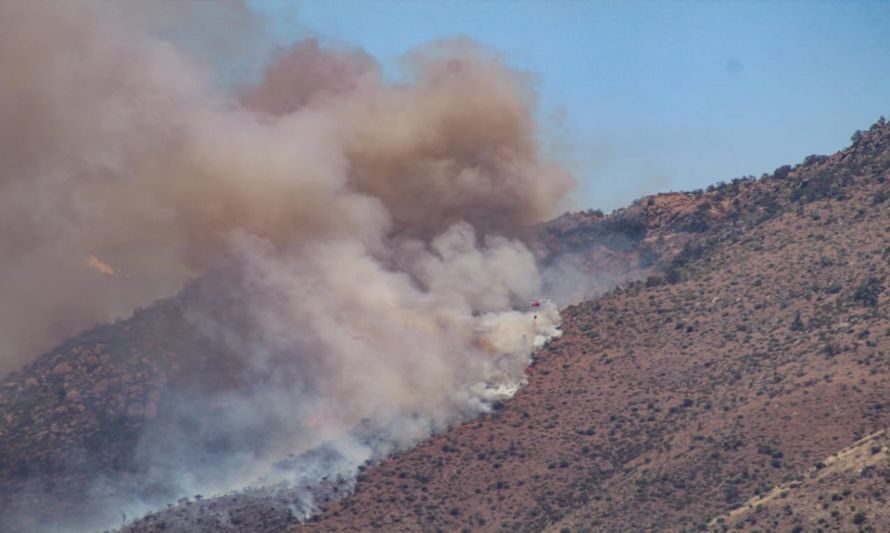 ¿Qué comunas hoy se mantienen con alto riesgo de incendio forestal?