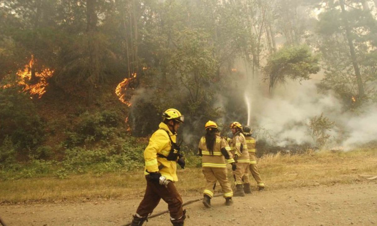 Botón Rojo: Palmilla se mantiene alerta por alto riesgo de incendio forestal