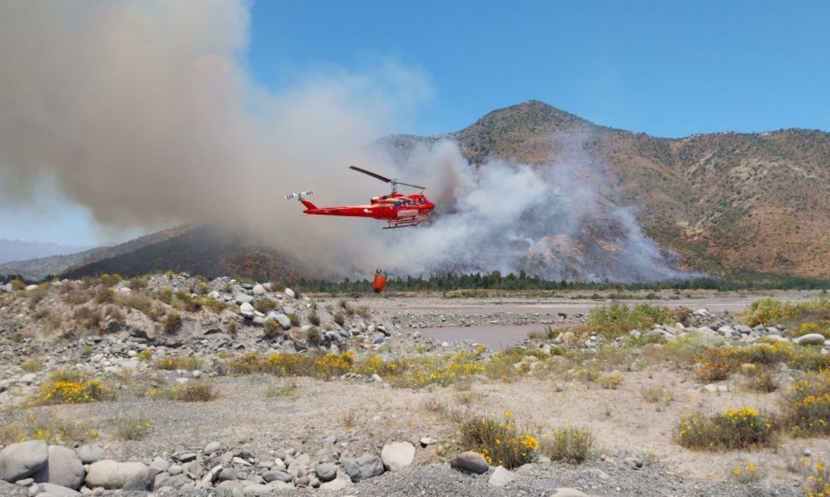 Botón Rojo: Palmilla entre las comunas con alto riesgo de incendio forestal