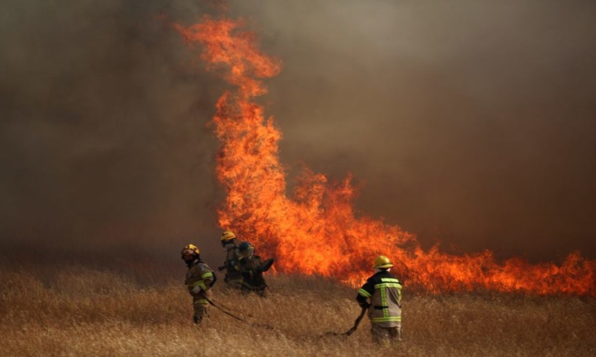 Botón Rojo: Palmilla continúa con alto riesgo de incendio forestal