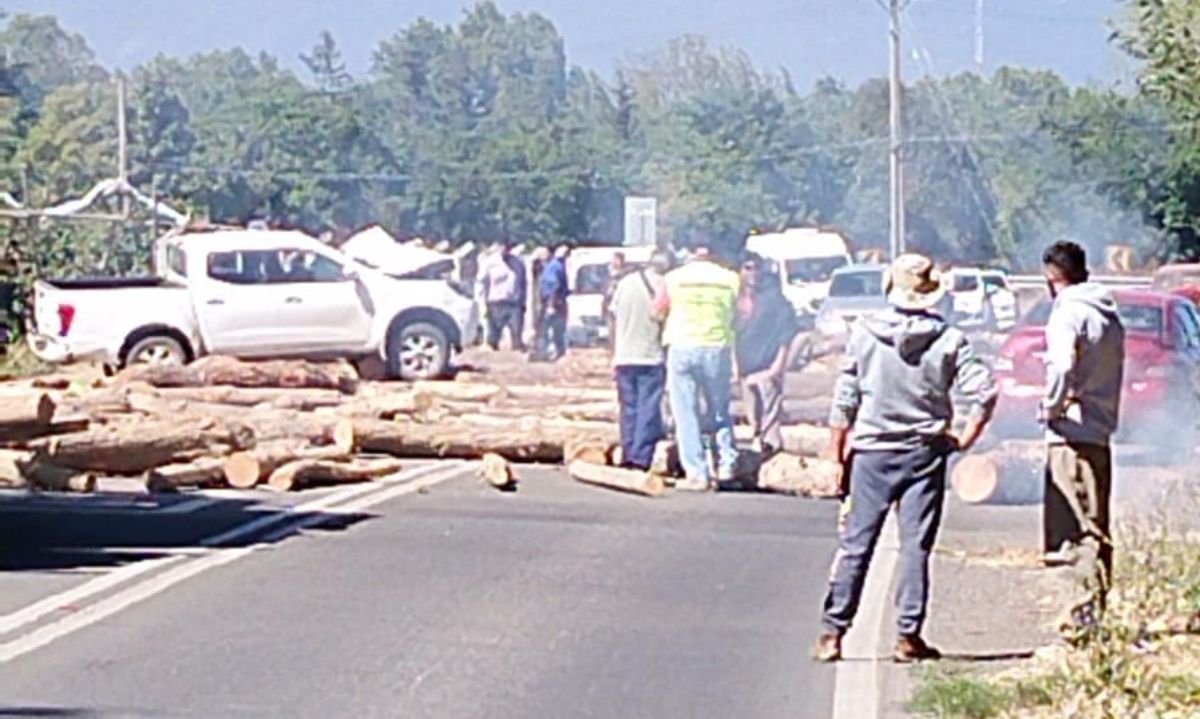 Camión pierde su carga de troncos e impactan a varios automóviles en San Fernando