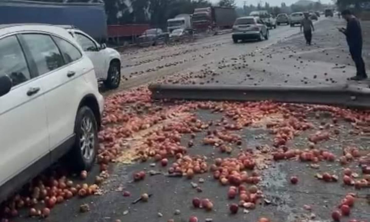 Ruta 5 Sur: Camión con carga de frutas pierde el control y colisiona con automóvil en Pelequén