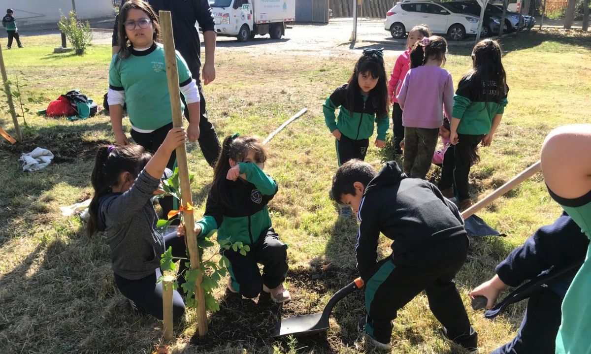 Con plantación de árboles, infantes aprenden sobre el cuidado de la tierra y la prevención de incendios