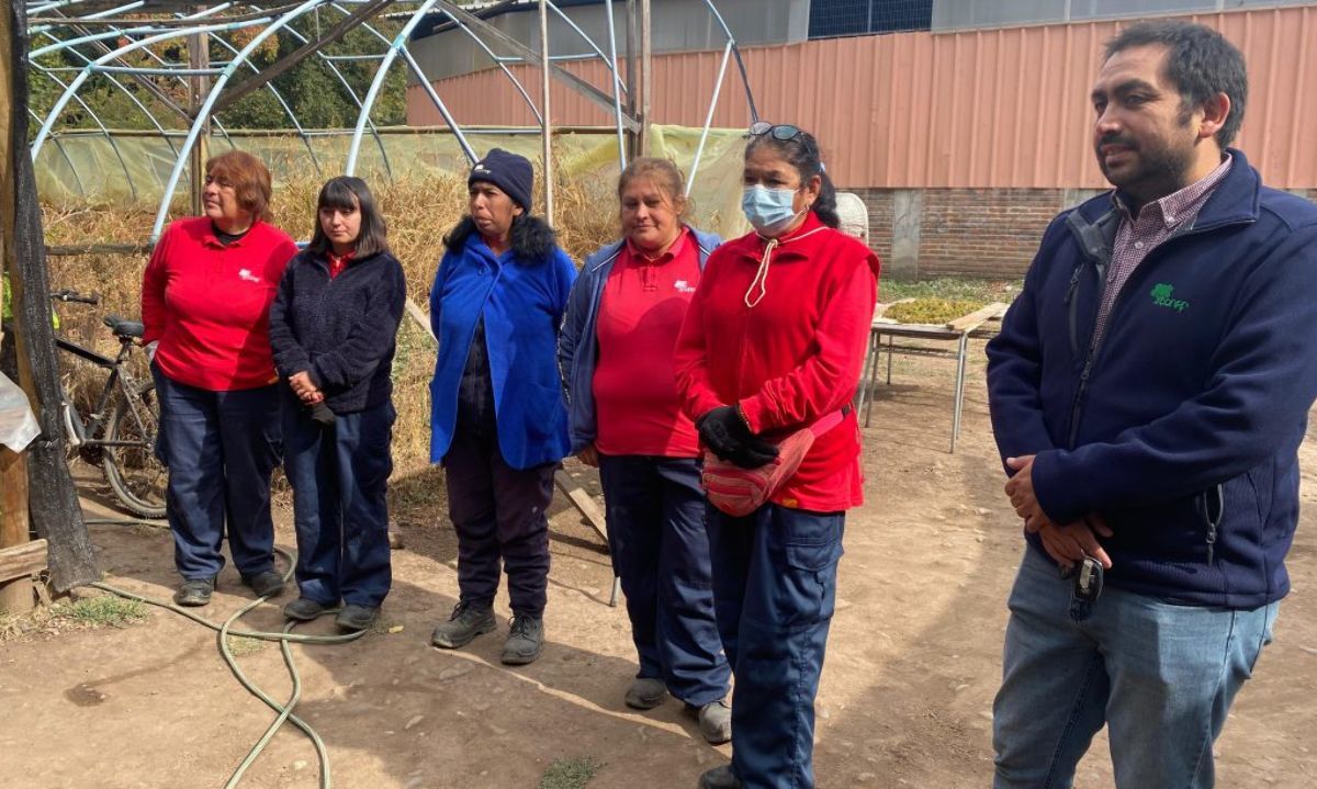 Programa de emergencia de empleos de Conaf: Poder femenino en la prevención de incendios