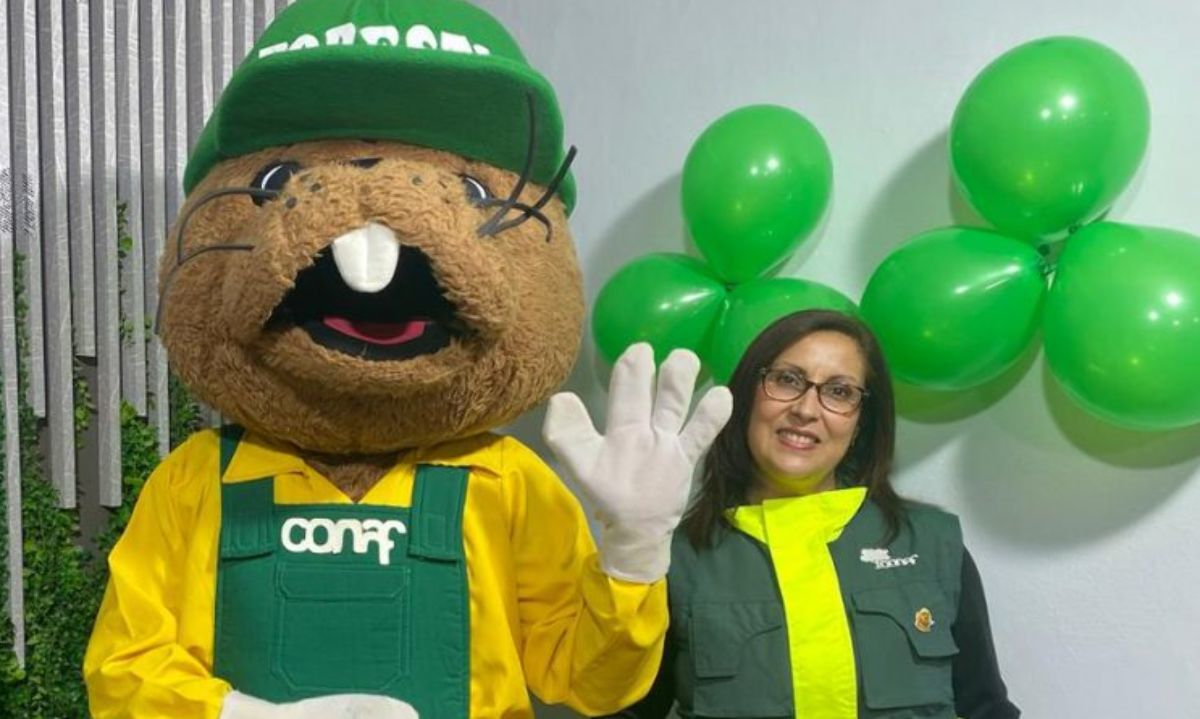 CONAF: Forestín cumple 48 años trabajando en la prevención de incendios vegetacionales y el cuidado del medioambiente