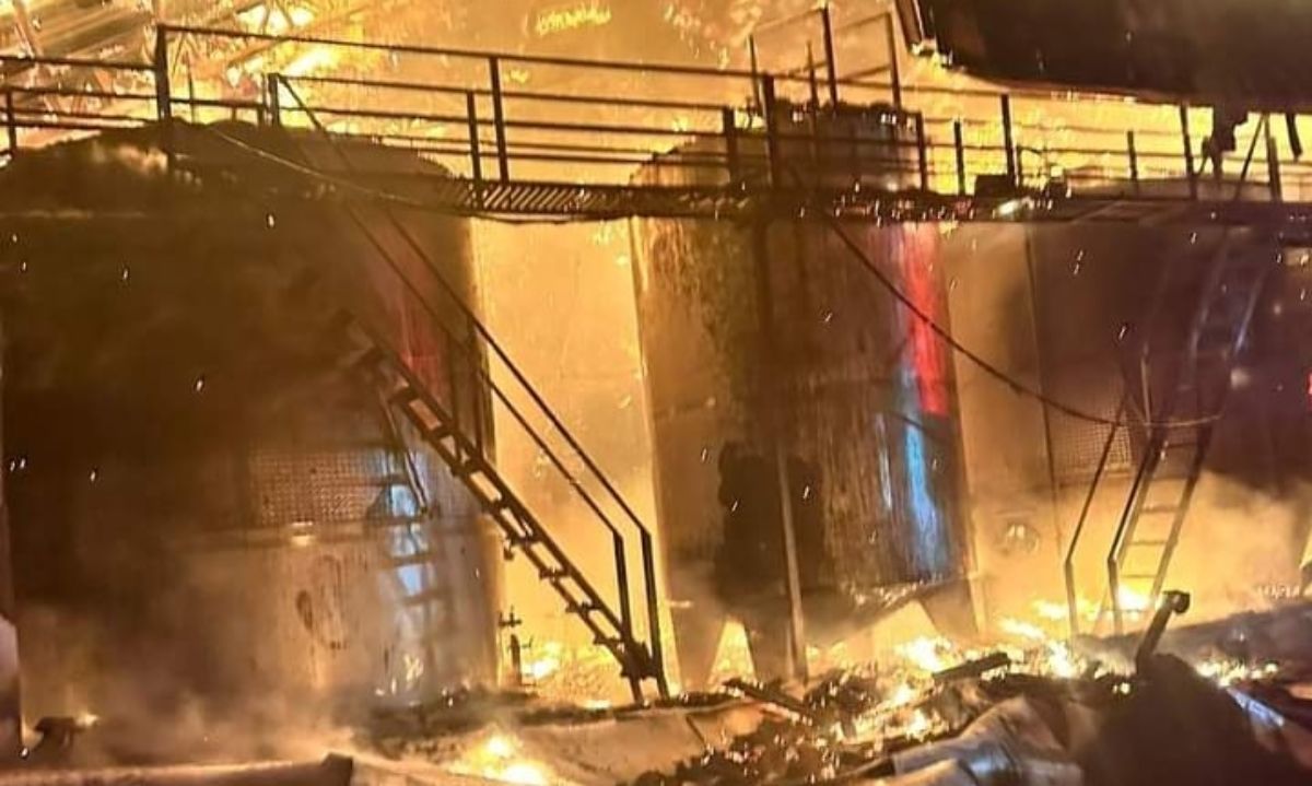 Placilla: Incendio en Viña Ravanal dejó millonarias pérdidas