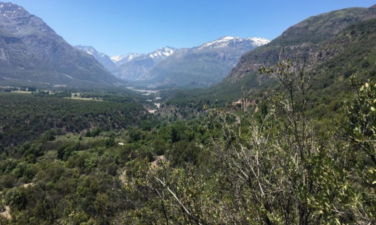 El rol de CONAF en el cuidado del patrimonio natural del país