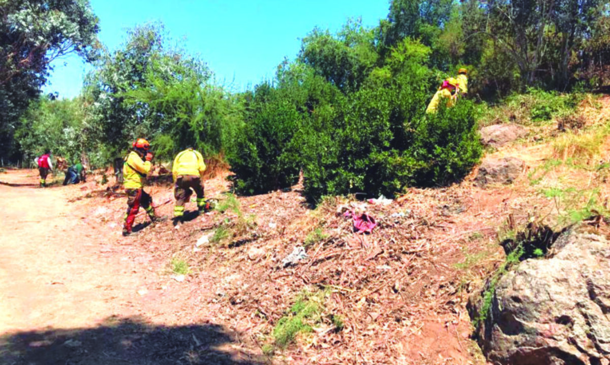 Conaf Colchagua intensifica labor preventiva y recuperación de predios