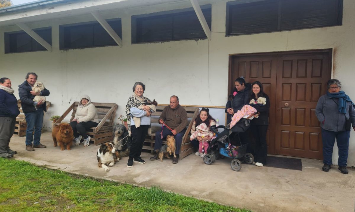 Municipalidad de San Fernando realizó operativo veterinario en Puente Negro