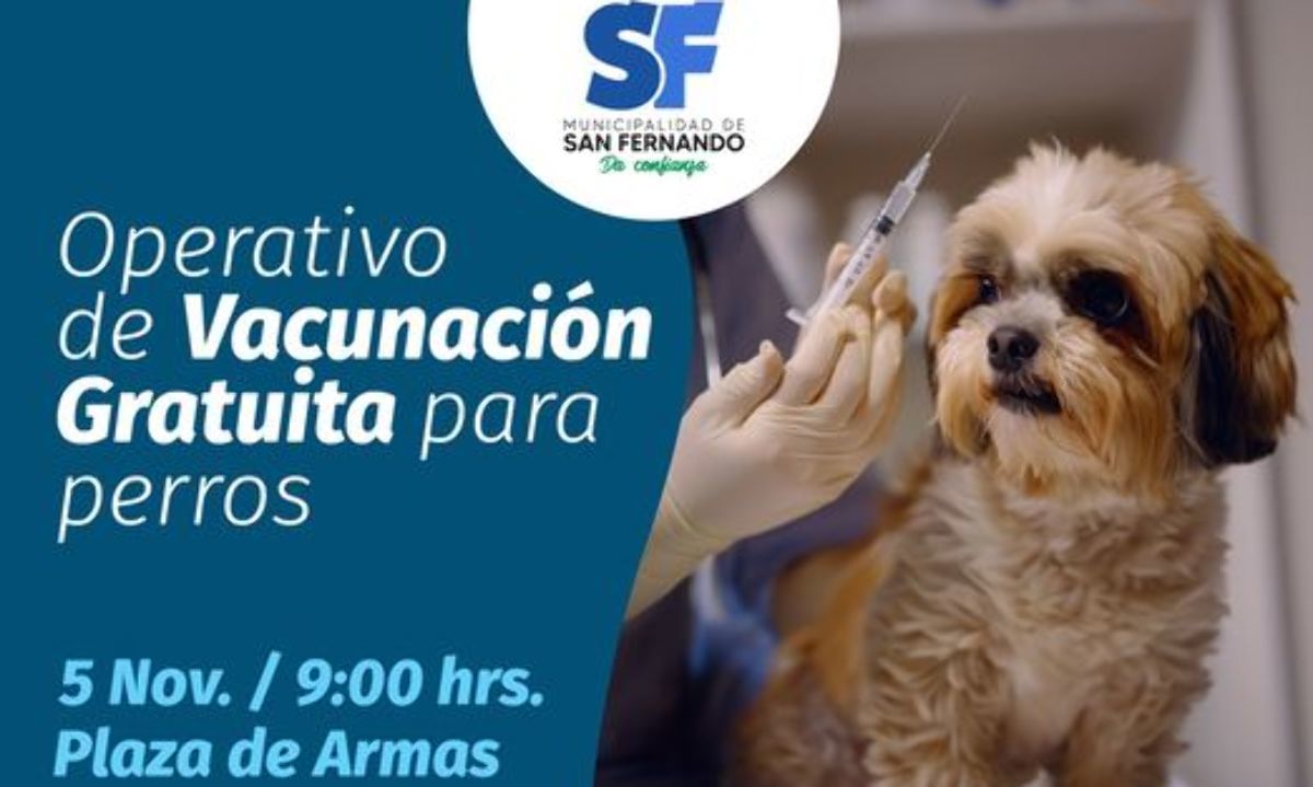 Municipio de San Fernando programa operativos veterinarios para perros